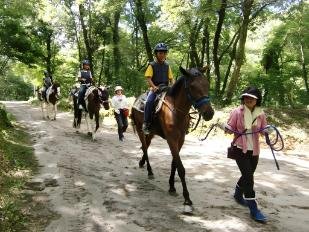 🐎 미키 호스랜드 파크 (미키 호스란도파쿠) 이미지 5